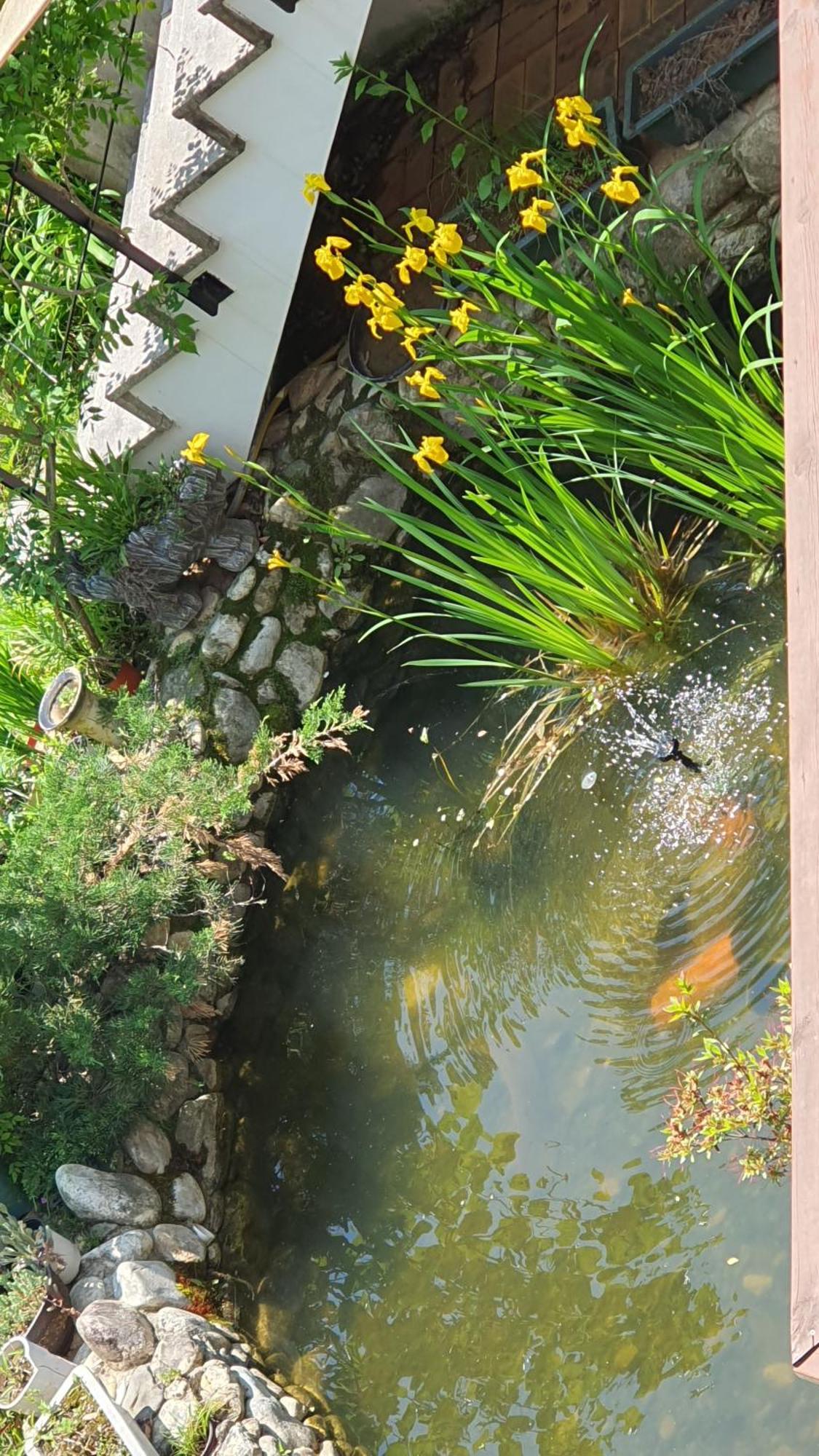 Saint Paul De Vence Βίλα Damyang Δωμάτιο φωτογραφία