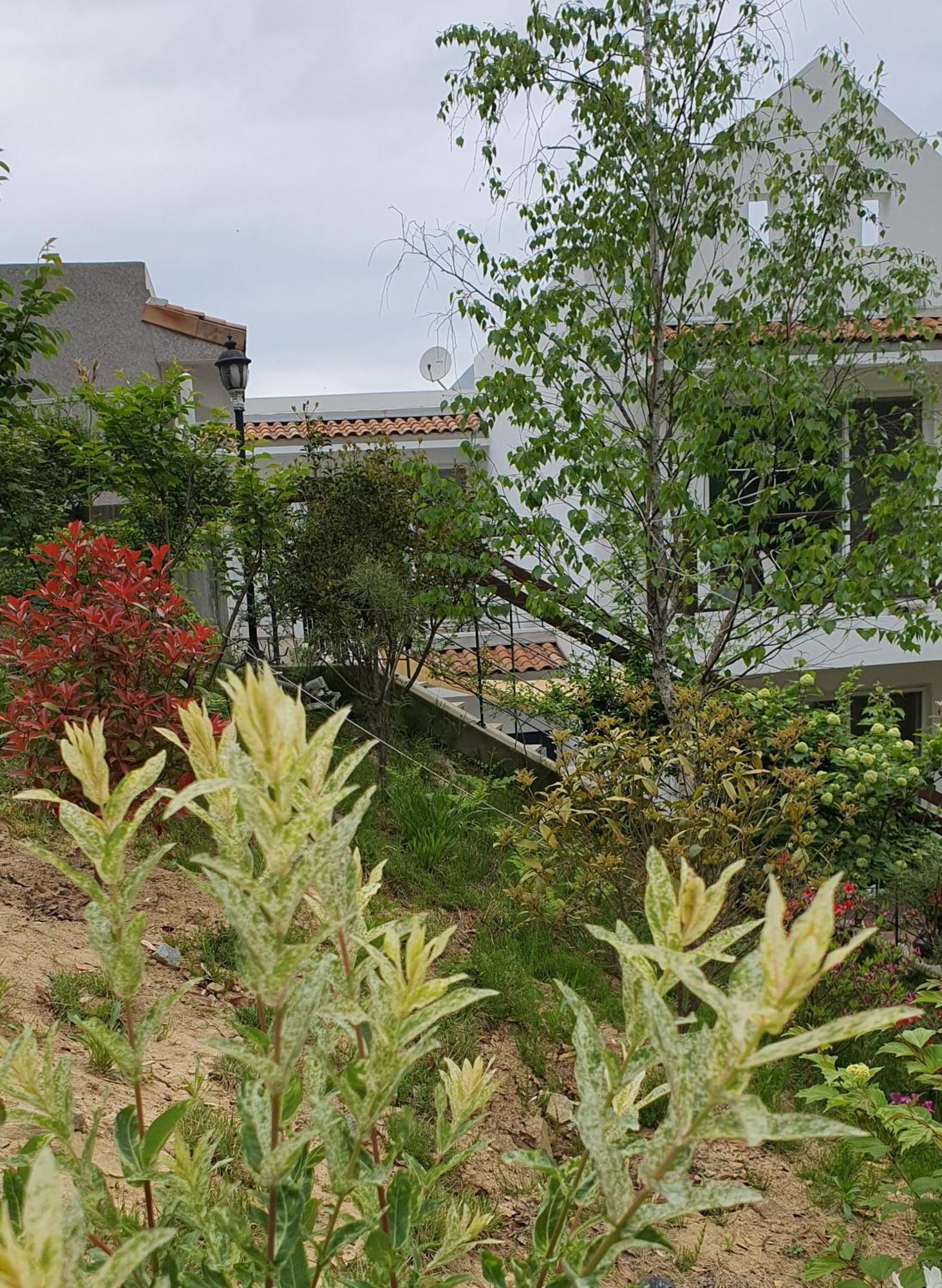 Saint Paul De Vence Βίλα Damyang Δωμάτιο φωτογραφία